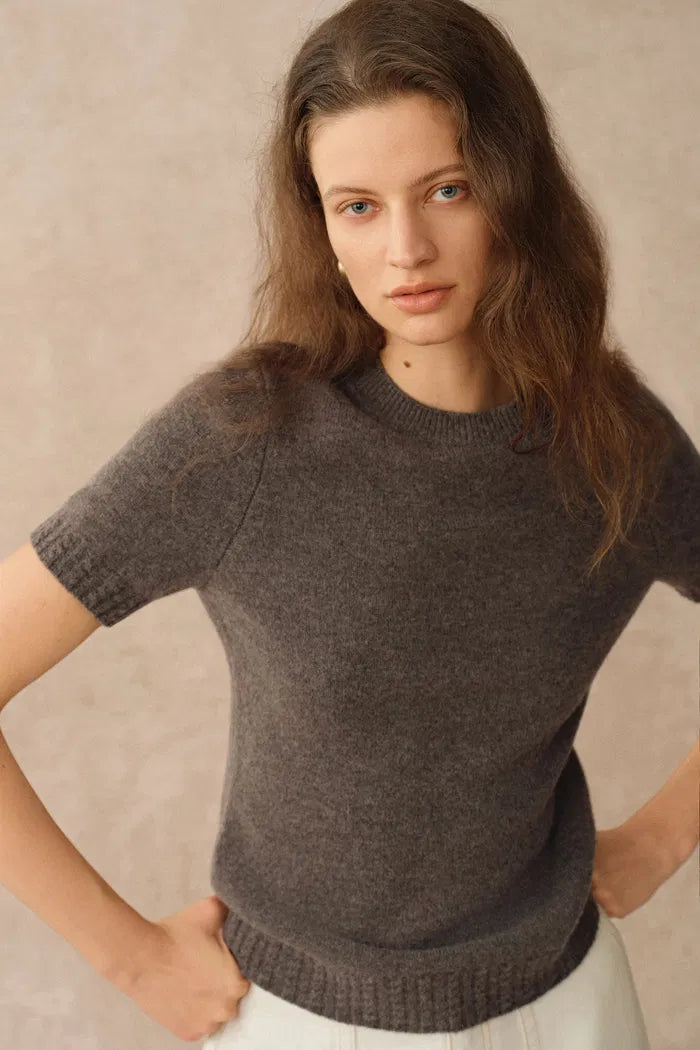 Miya Crew Neck Short Sleeve Top in Merino Wool Knit