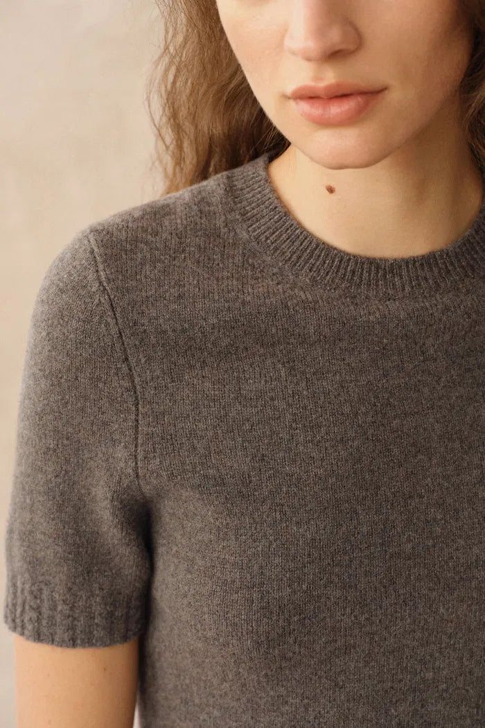 Miya Crew Neck Short Sleeve Top in Merino Wool Knit – fbrq.com