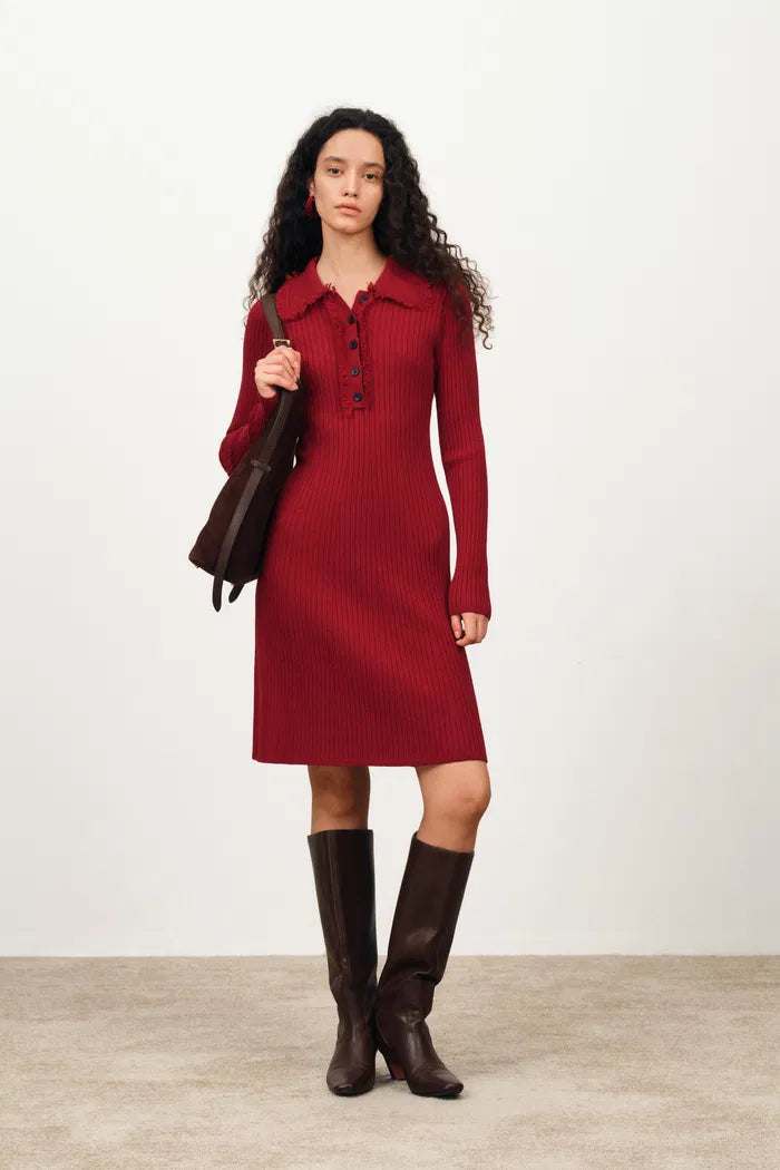 Anja Long Sleeve Dress in Merino Wool Knit
