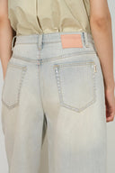 Ariel Straight Cropped Jeans in Transparent Burnout Denim