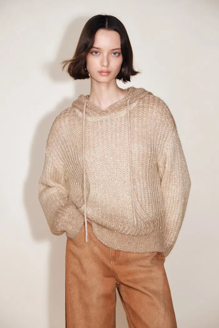 Stella Drawstring Sequined Hooded Sweatshirt in Mohair Sequin Yarn